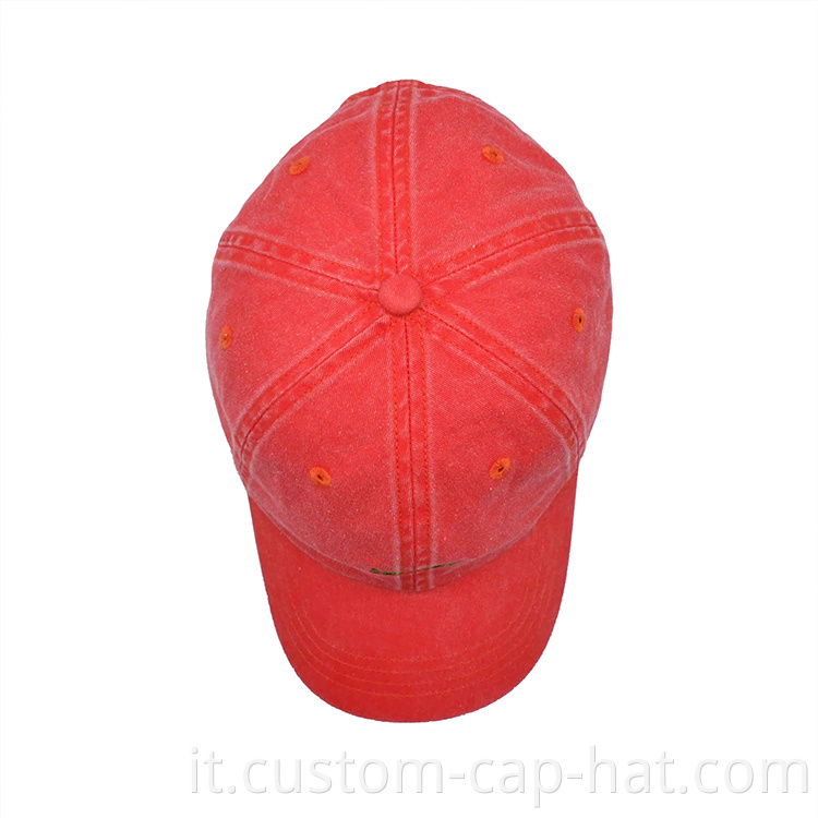 Wash Dad Cap